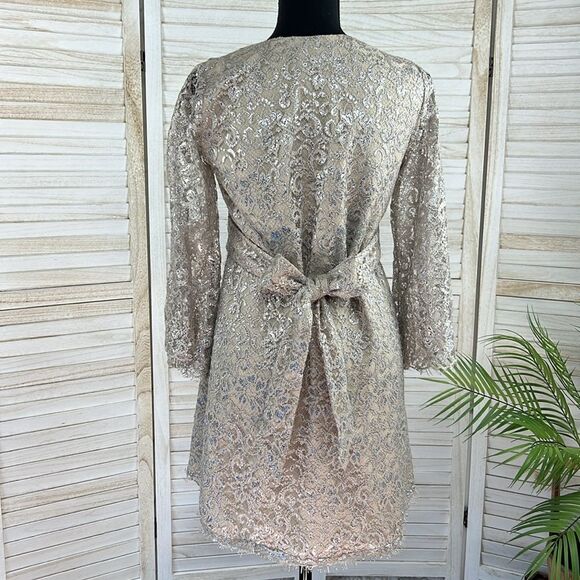 Corey Lynn Calter Anthropologie Metallic Lace Skater Mini Dress XS - Picture 8 of 13